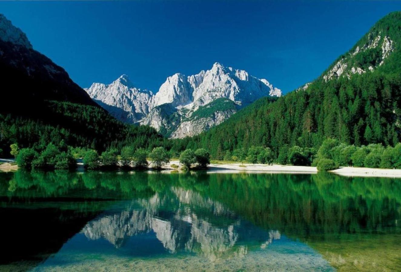 Apartmaji La vie est belle Kranjska Gora Extérieur photo